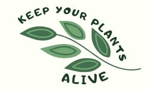 keep your plants alive
