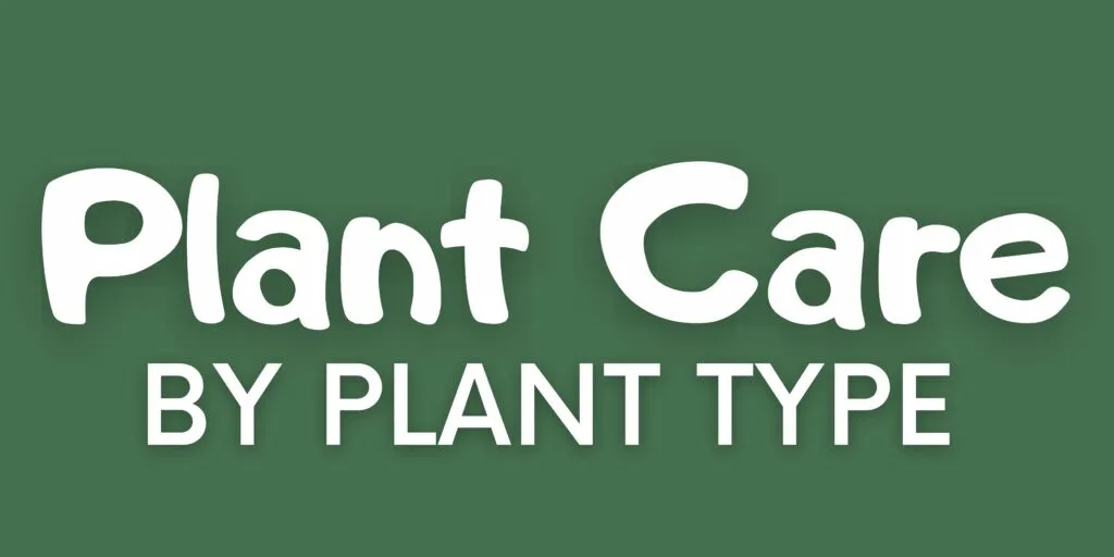 Plant care by Plant type