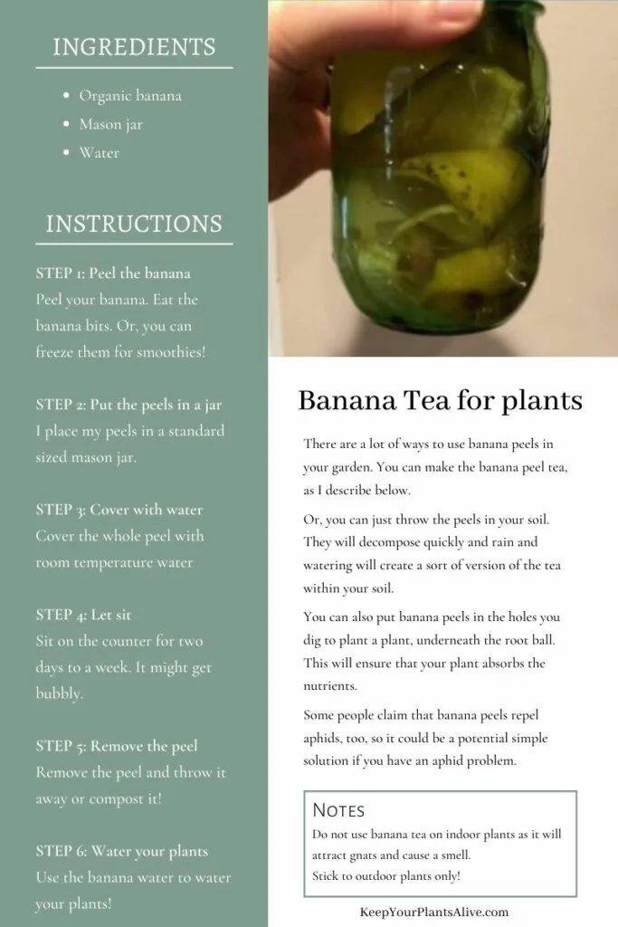 banana tea for plants printable recipe card