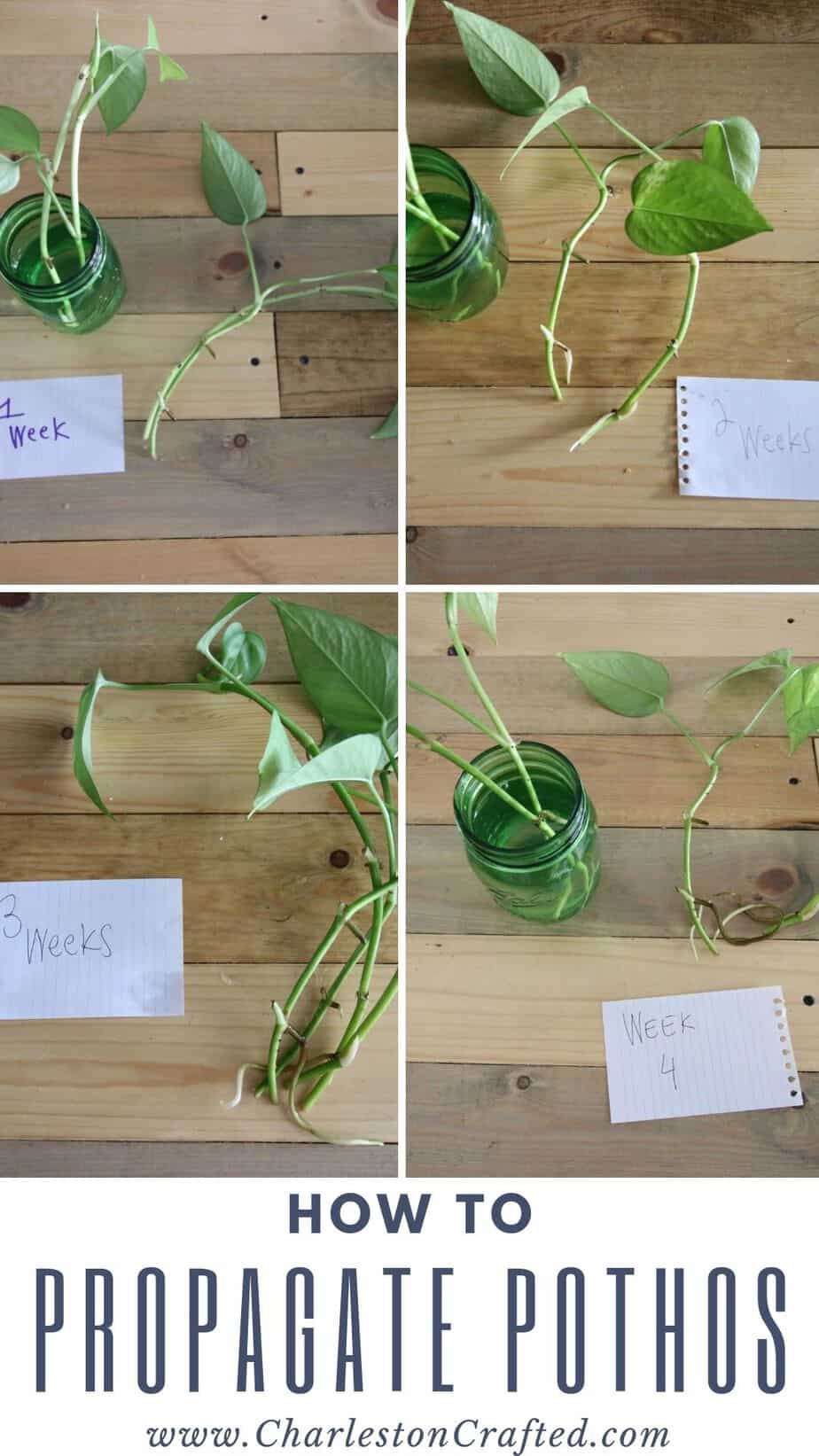 how-to-propagate-pothos