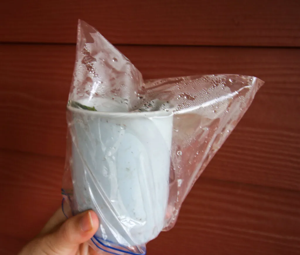 potted plant covered with a steamy plastic bag