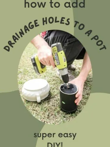 how-to-add-drainage-holes-to-a-pot-683x1024