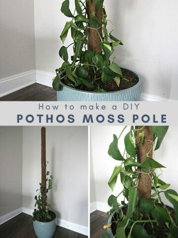 how-to-make-a-DIY-pothos-moss-pole-683x1024