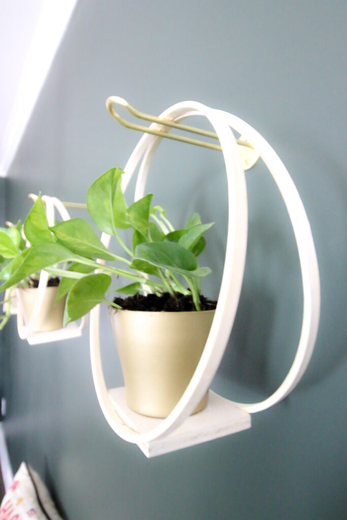 global green pothos on a hanging planter