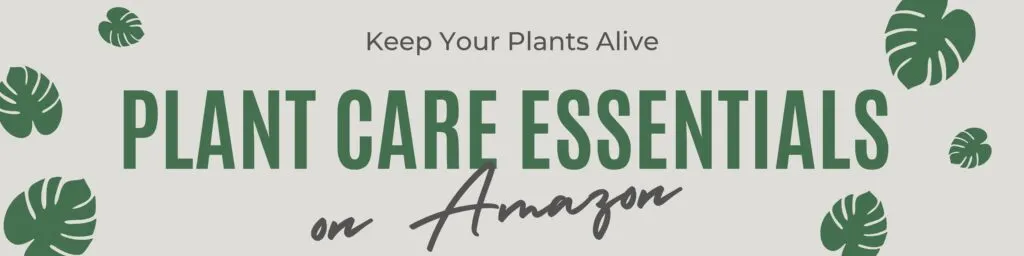 plant care essentials on amazon