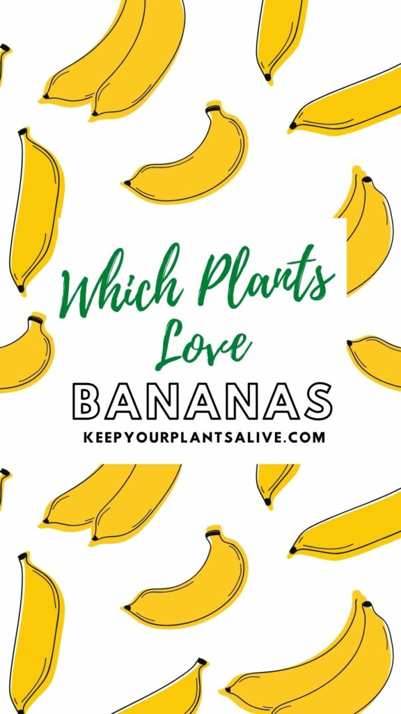 which plants love bananas