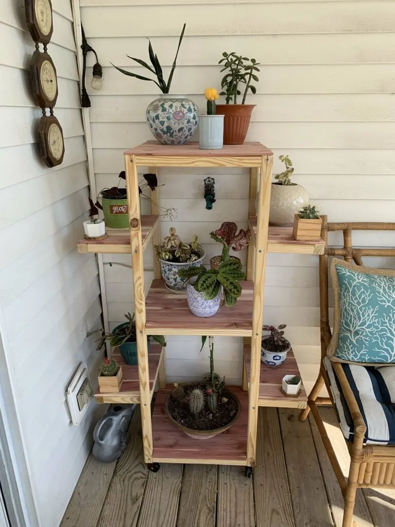 rack of potted plants