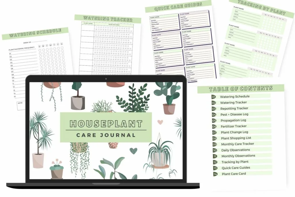 Houseplant care journal mockup