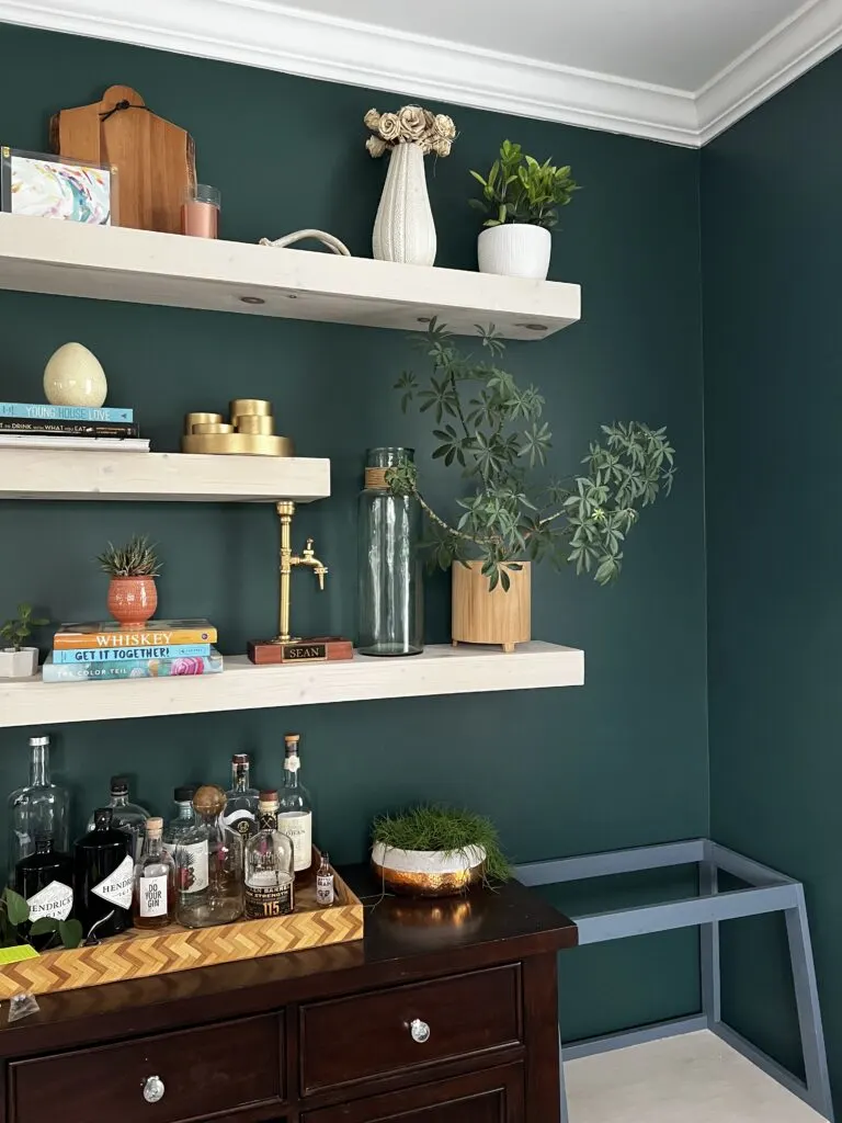 umbrella plant on a high shelf to keep away from the cat