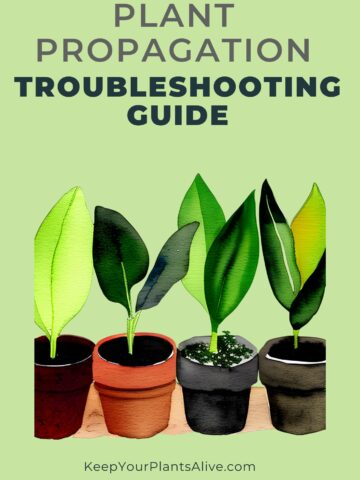 plant propagation troubleshooting guide