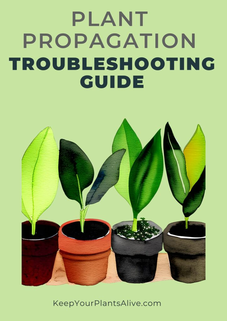 plant propagation troubleshooting guide