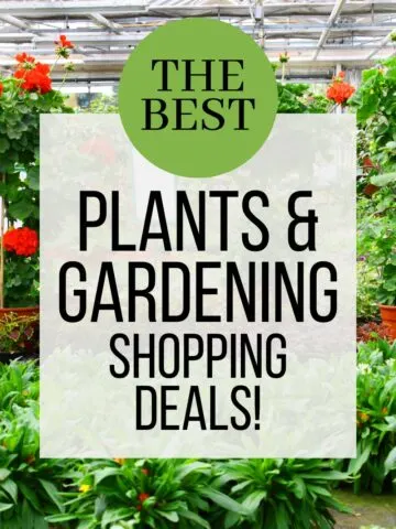 the best plants and gardening shopping deals