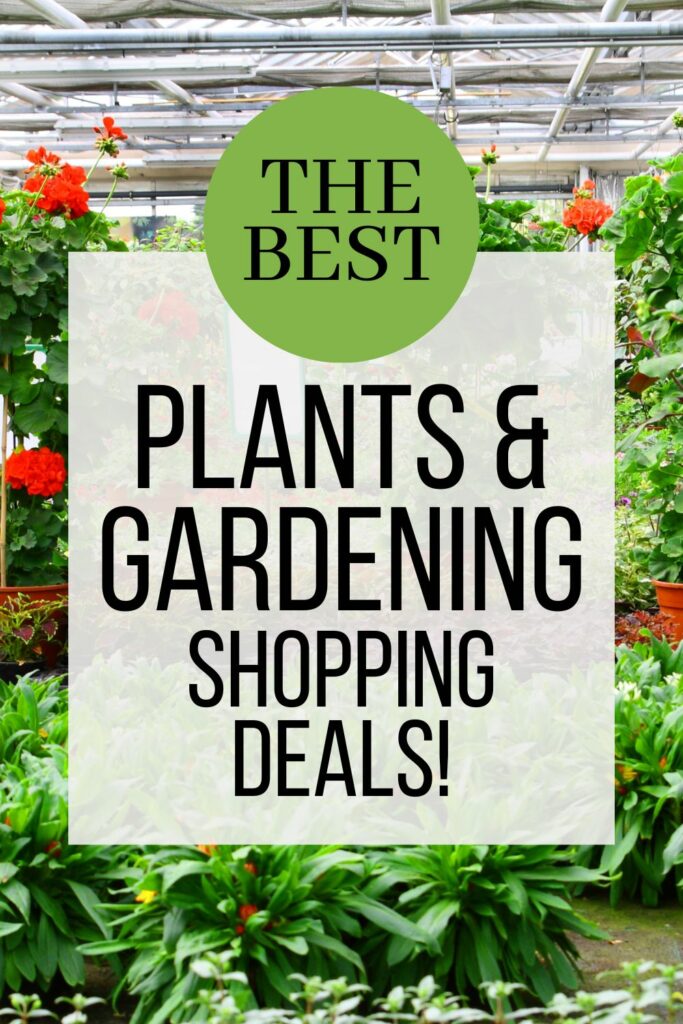 the best plants and gardening shopping deals