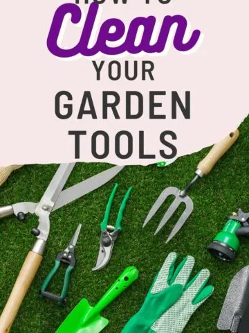 how to clean your garden tools