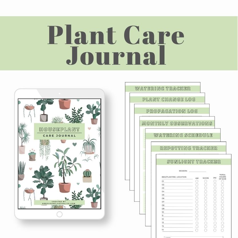 Plant Care Journal mock up