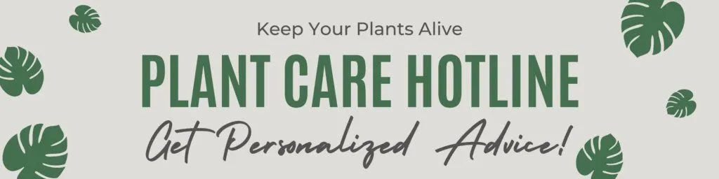 plant care hotline