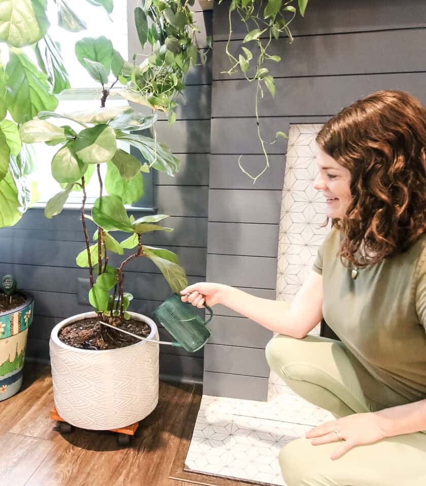 How To Keep Your Plants Thriving While You Re On Vacation Keep Your