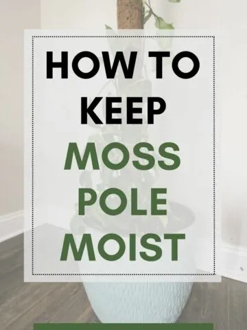 how to keep a moss pole moist?