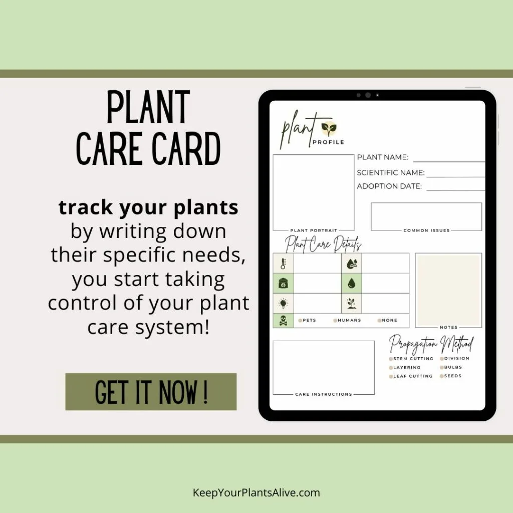 Plant care card mock upPlant care card mock up