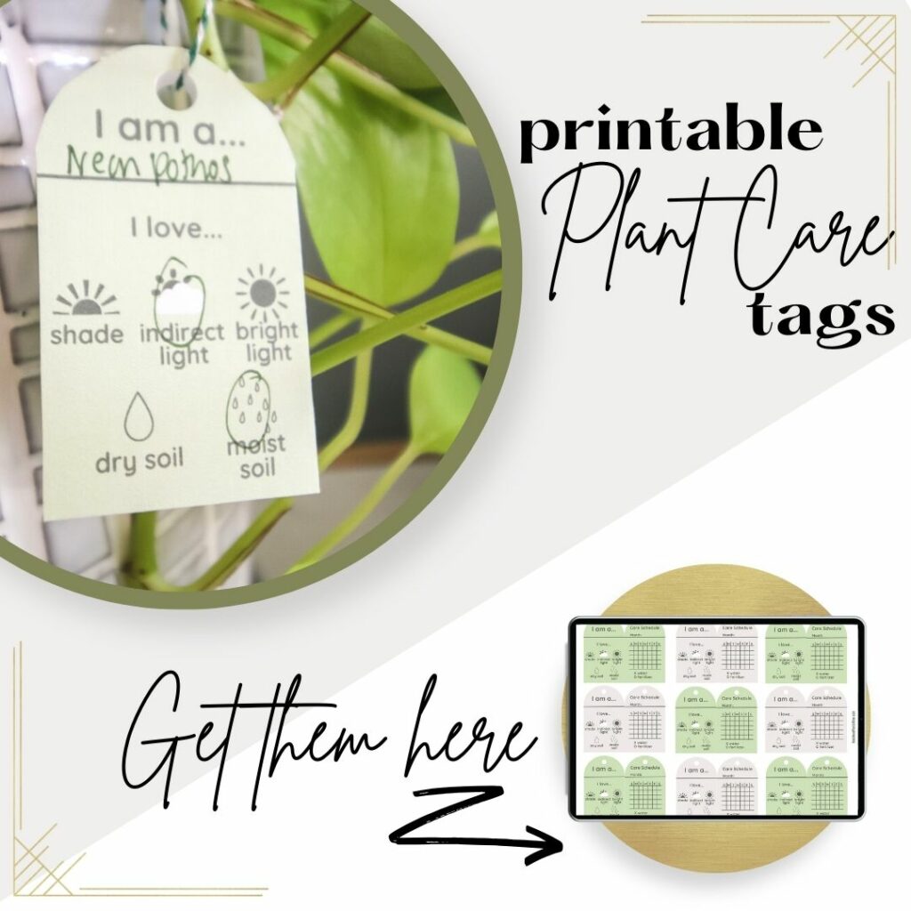 Printable plant care tags