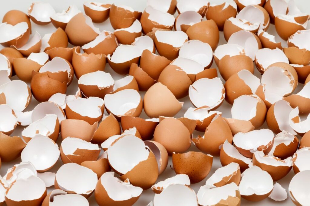 eggshells