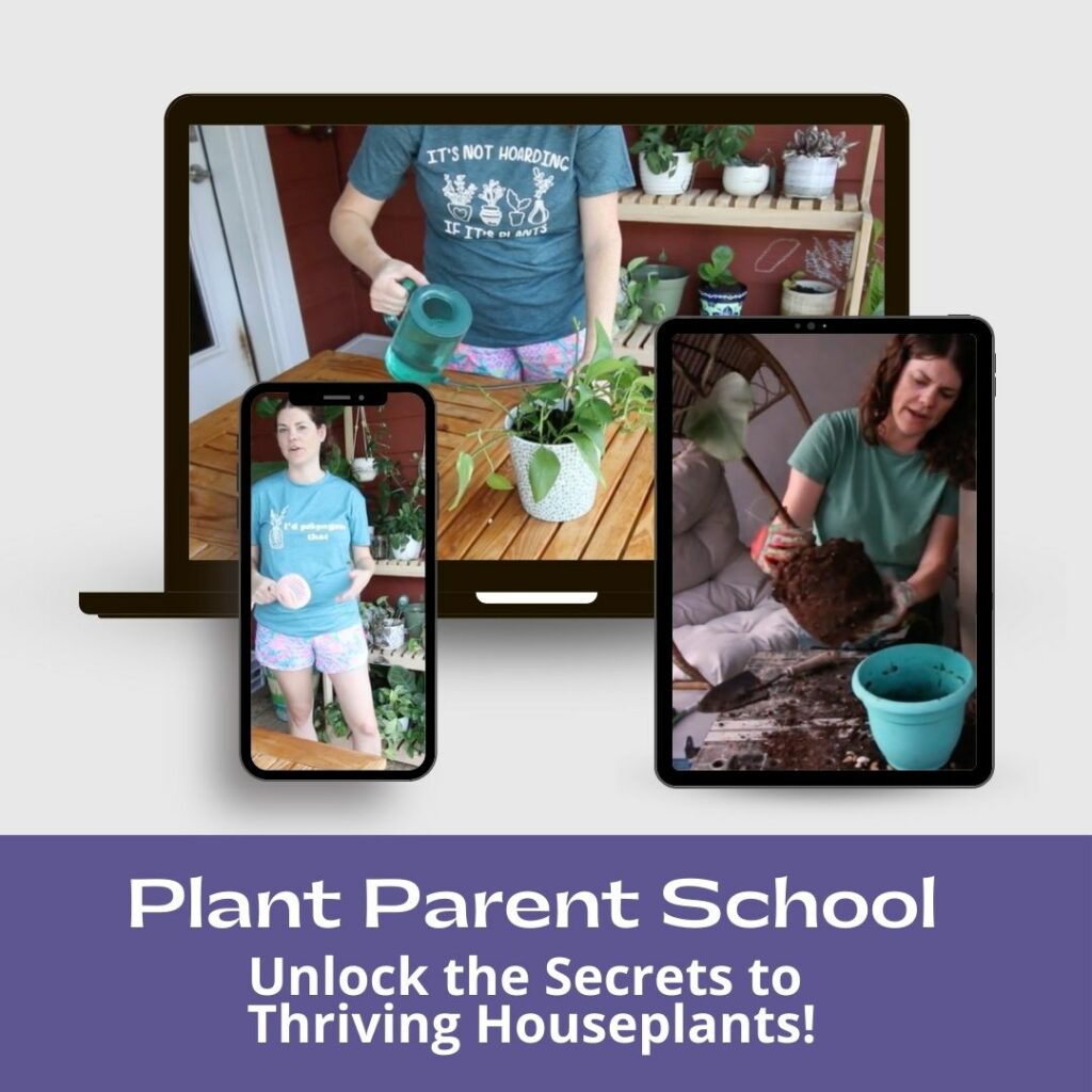 plant parent school