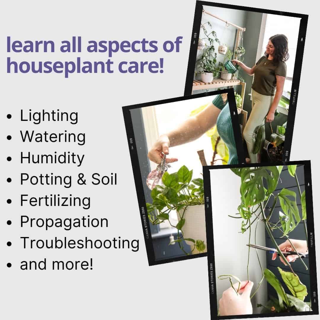 plant parent school
